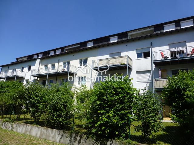 Schmuckstück 1 Zimmer EG Terrassenwohnung neu renoviert