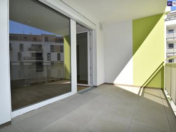Apartment for rent in 2320 - Terrasse, Ausgestattete Küche