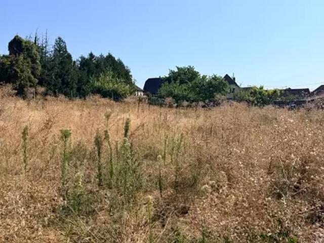 Schnersheim 67370 Programme neuf maison neuf à vendre 5 pièces
