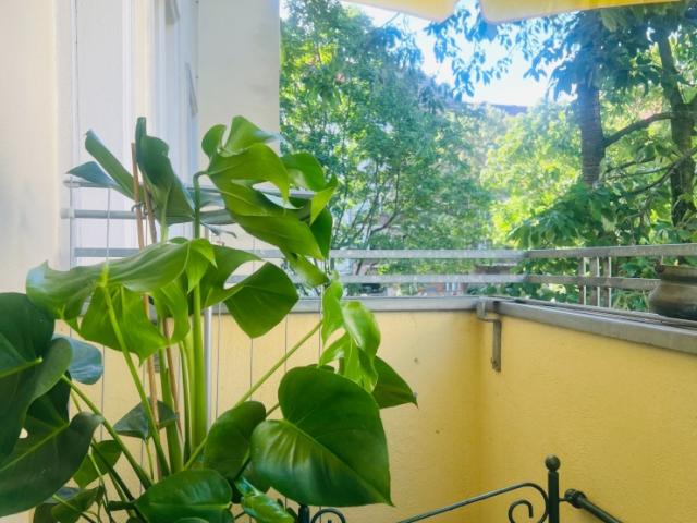 Schoene Altbauwohnung mit Balkon