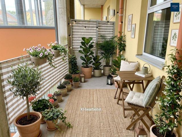Schönaugasse 5/4 Pärchenwohnung mit einer Freifläche Laubengang vor der Wohnung ab 01.11.2026