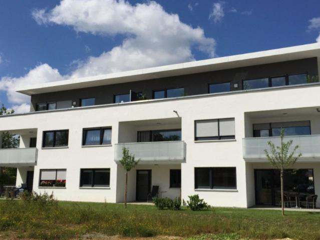 Schöne 3,5 Zimmerwohnung mit Terrasse