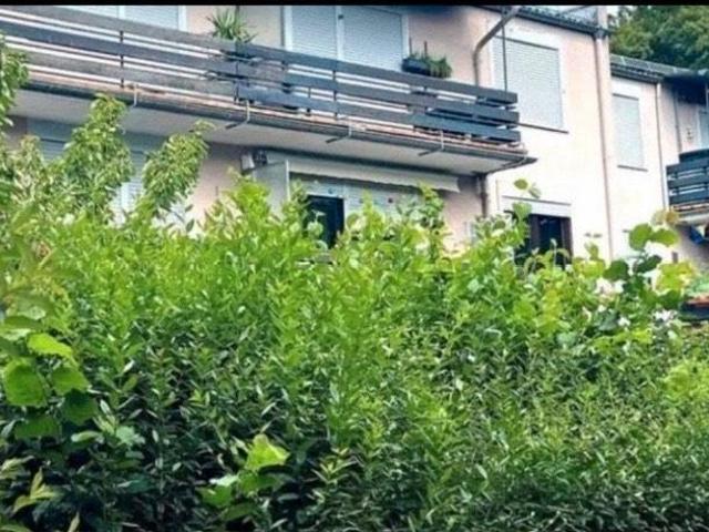 Schöne 3 Zimmer Wohnung im Grünen ruhig und naturnah wohnen