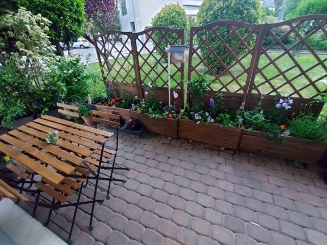 Schöne 2,5 Zimmer Wohnung mit Terrasse und Zugang zum Garten / Stadtzentrum