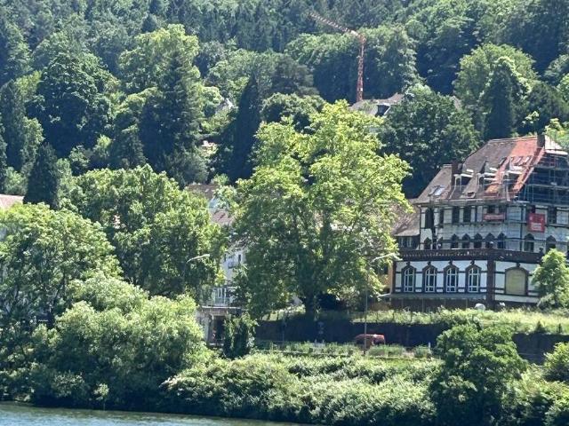 Schöne 2 ZKB Maisonette in Heidelberg Schlierbach vermietet