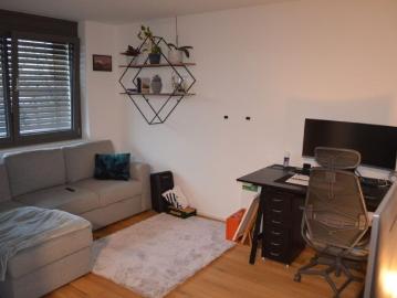 Blumenstraße, Lochau, Lochau, Bezirk Bregenz, Vorarlberg