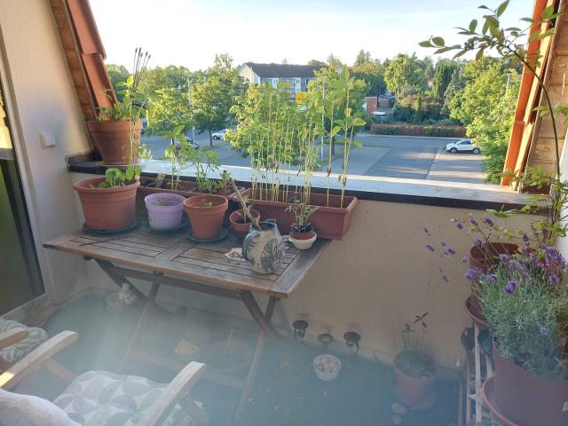 Schöne 2 Zimmerwohnung zu vermieten mit Balkon und Stellplatz