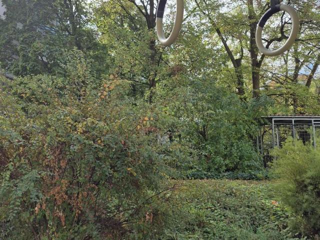 Schöne 2 Zimmer Gartengeschosswohnung/ Ohne Makler