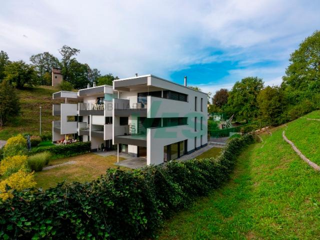 Schöne 4,5 Zimmer Attikawohnung mit grosser Terrasse und Seeblick