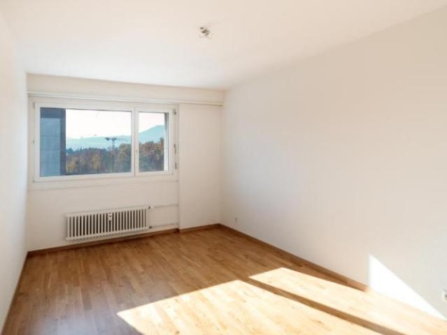 Schöne 4.5 Zimmerwohnung mit fantastischer Aussicht!