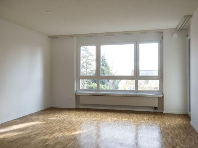 Schöne 4.5Zimmer Wohnng in Schaffhausen zu vermieten