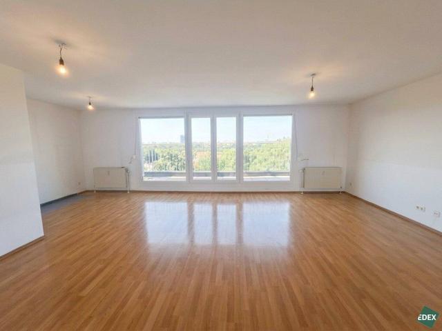 Direkt an der Donau: Schöne 4 Zimmer Maisonette Wohnung mit Balkon und Terrasse
