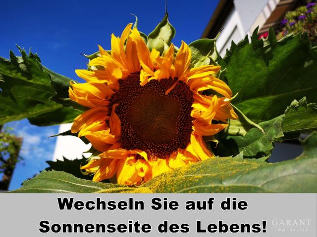 Schöne, bezahlbare Wohnung