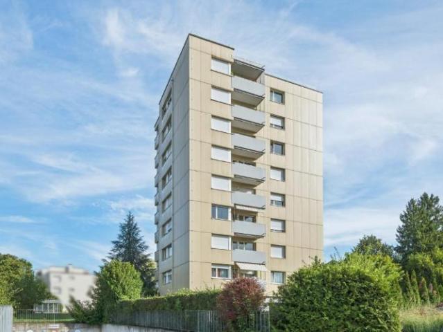 Schöne grosse Attikawohnung mit riesiger Terrasse