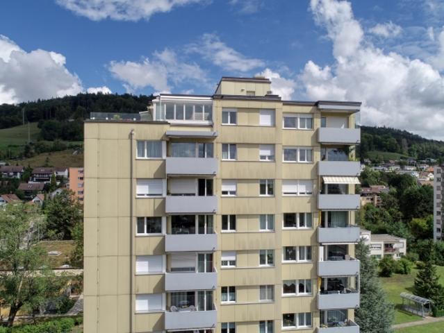 Schöne grosse Attikawohnung mit riesiger Terrasse