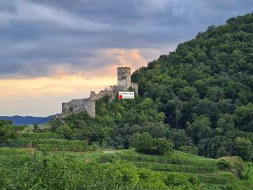 SCHÖNE EIGENTUMSWOHNUNG IM HERZEN DER WACHAU