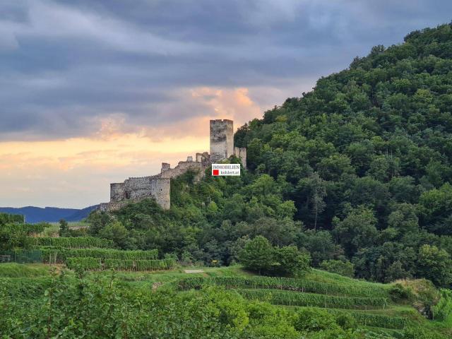 SCHÖNE EIGENTUMSWOHNUNG IM HERZEN DER WACHAU
