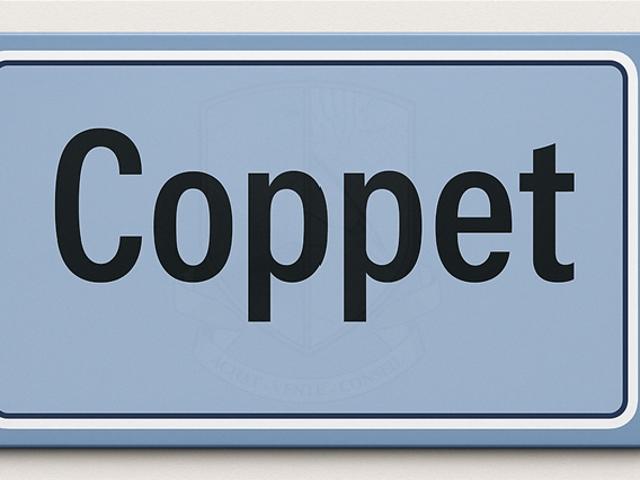 Schöne Einkaufspassage zum Verkauf in Coppet