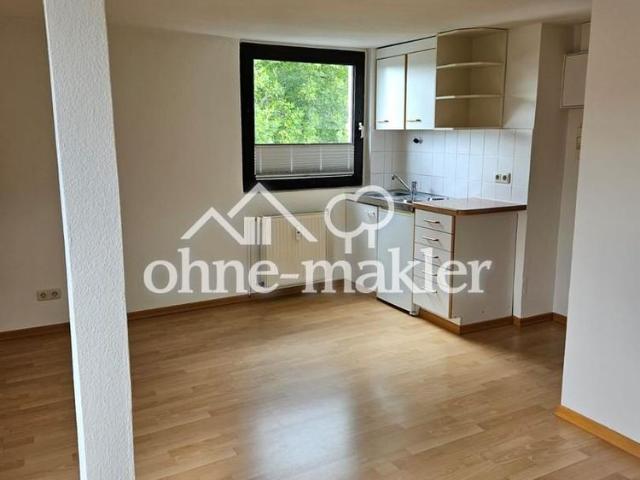 Schöne, helle 1,5 Zi Wohnung mit EBK in Mainz Mombach