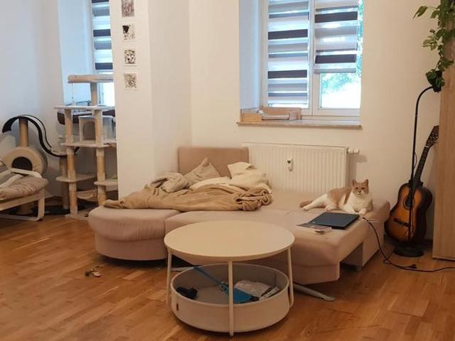 Schöne + helle 2 Zimmer Whg | Balkon | EBK | naturnahe Lage