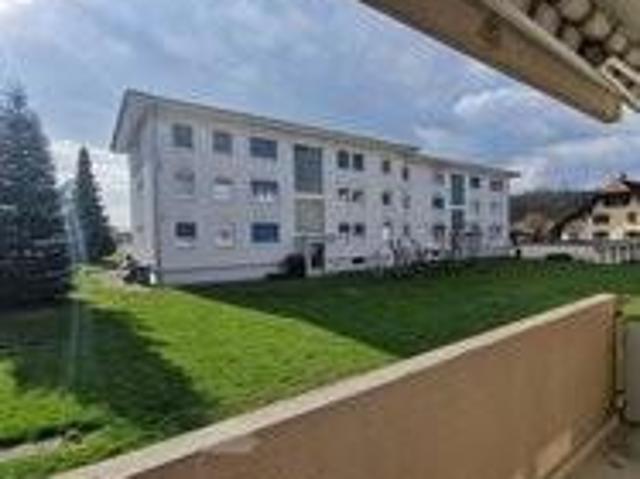 Schöne renovierte 3 Zimmerwohnung mit Balkon und Gartensicht in Roggwil