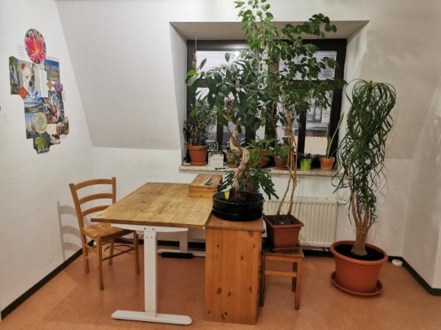 Schöne, ruhige 2 Zimmer Wohnung inmitten der Neustadt zur Zwischenmiete
