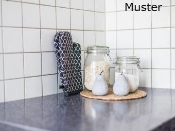 Schöne Wohnung: ansprechende 2 Zimmer Wohnung in Johannstadt