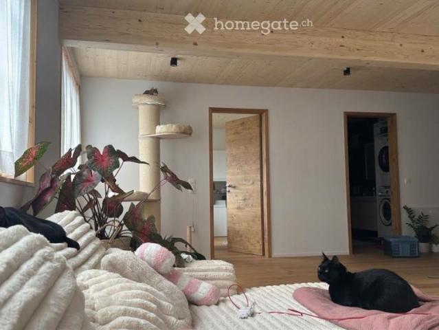 Schöne und Moderne Wohnung in Arboldswil