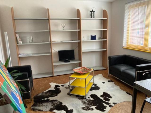 Schöne, vollmöblierte Single Wohnung mit Terrasse