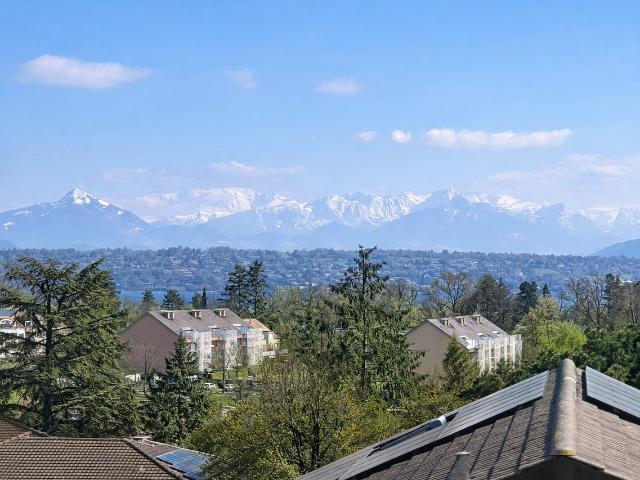 Schöne Villa in Bellevue in der Nähe der internationalen Organisationen