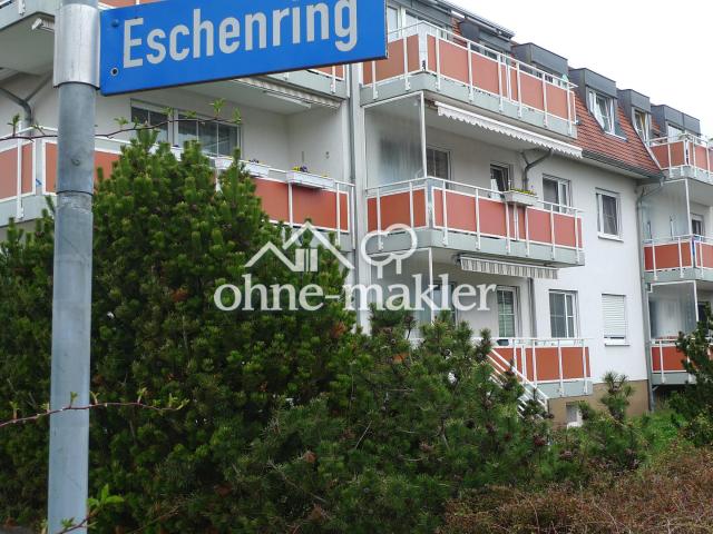 Schöne Zwei Zimmer Wohnung