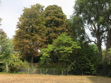Schönes Apartment in Köln Mülheim in ruhiger Bestlage mit Gartenblick
