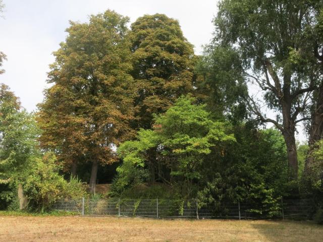 Schönes Apartment in Köln Mülheim in ruhiger Bestlage mit Gartenblick