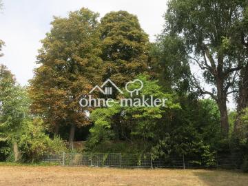 Schönes Apartment in Köln Mülheim in ruhiger Bestlage mit Gartenblick