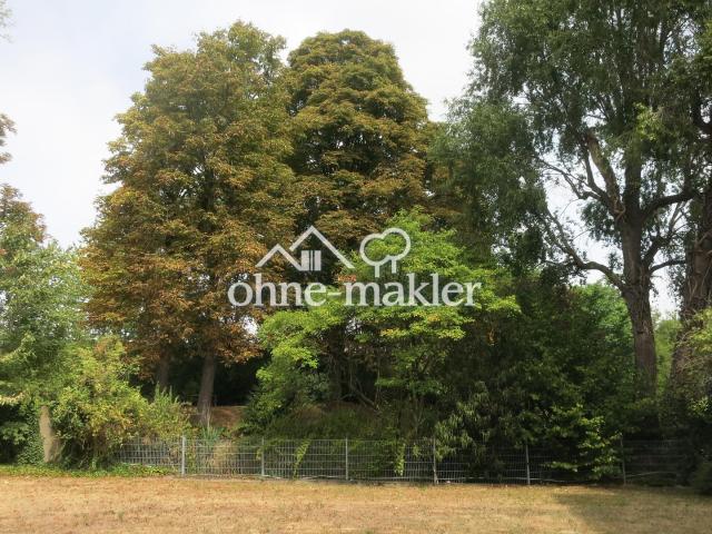 Schönes Apartment in Köln Mülheim in ruhiger Bestlage mit Gartenblick