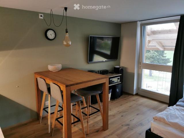 Schönes, helles und ruhig gelegenes Studio, möbliert