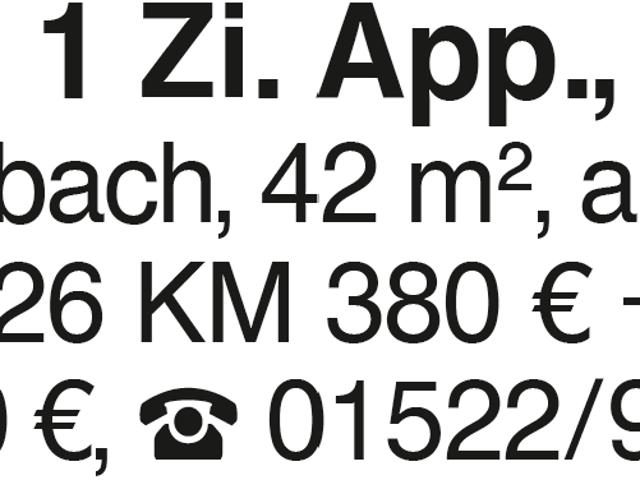 Schönes 1 Zi, App. in CR/Goldbach
