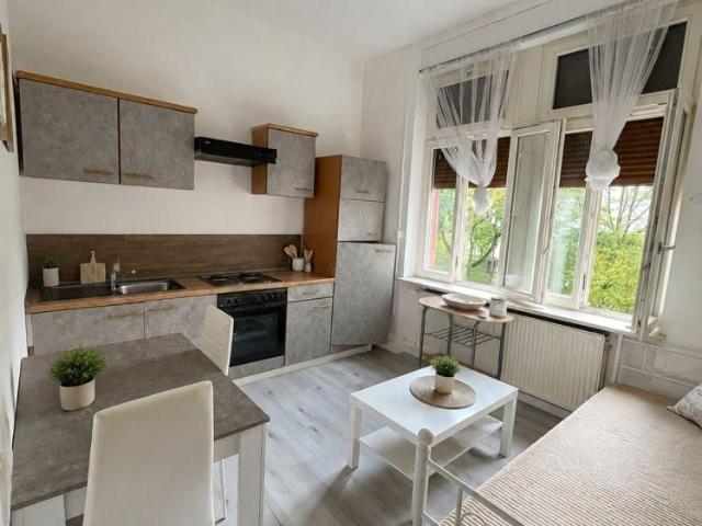 Schönes 2 Zimmer Apartment, 31qm in Ludwigshafen zu vermieten