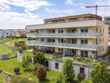 Schönes 4,5 Zimmer Atelier mit 185 m2 Terrasse ohne Sichtbehinderung