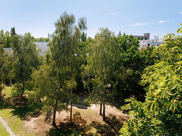 Schönes 4 Zimmer Apartment für 5 Personen in Charlottenburg, Berlin Amsterdam Apartments for Rent
