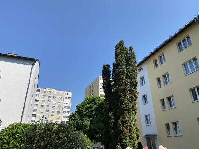 Schrebergasse 19/7