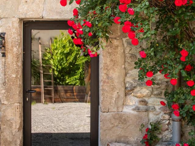 Sciez Sur Léman Maison de caractère avec piscine 5 chamb. 303m² Sciez
