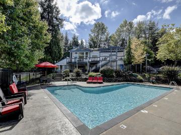 Sammamish View