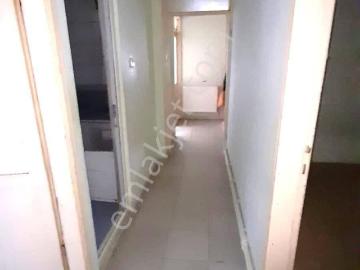 Hürriyet Mahallesi, İlkadım, Samsun, Samsun ili, Karadeniz Bölgesi
