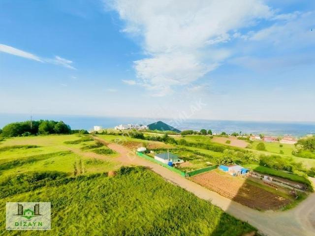 Samsun Üniversitesi Yanı Eşyalı 2+1 Daire, Deniz Manzaralı