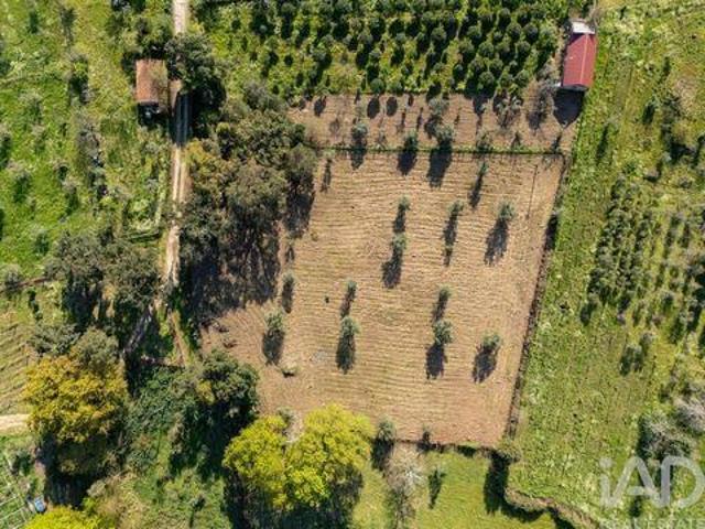 Santa Comba Dao Viseu 100854654