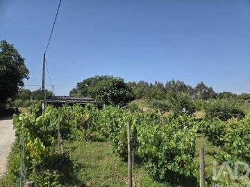 Santa Comba Dao Viseu 103384614