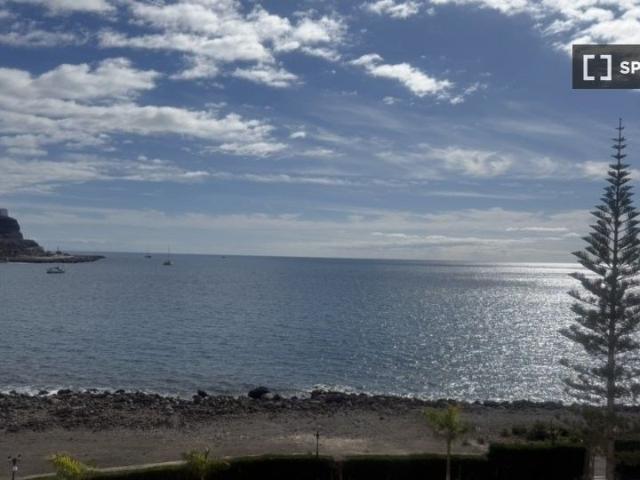 santa_cruz_de_tenerife, Canary Islands 35138