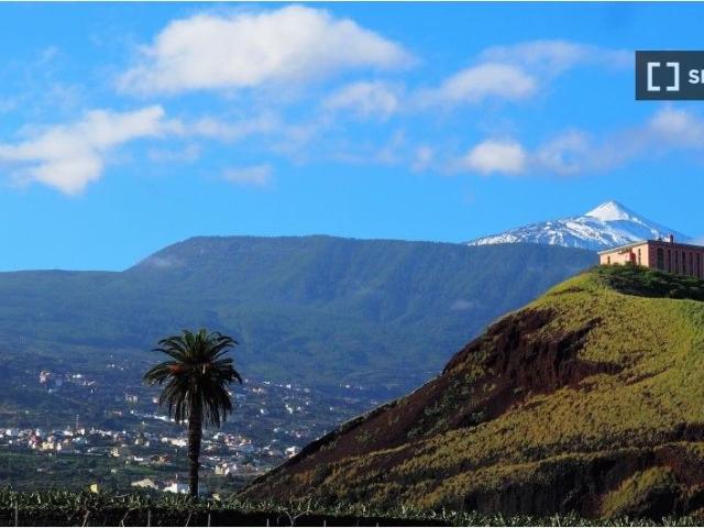 santa_cruz_de_tenerife, Canary Islands 38400
