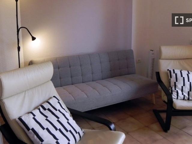 santa_cruz_de_tenerife, Canary Islands 38649